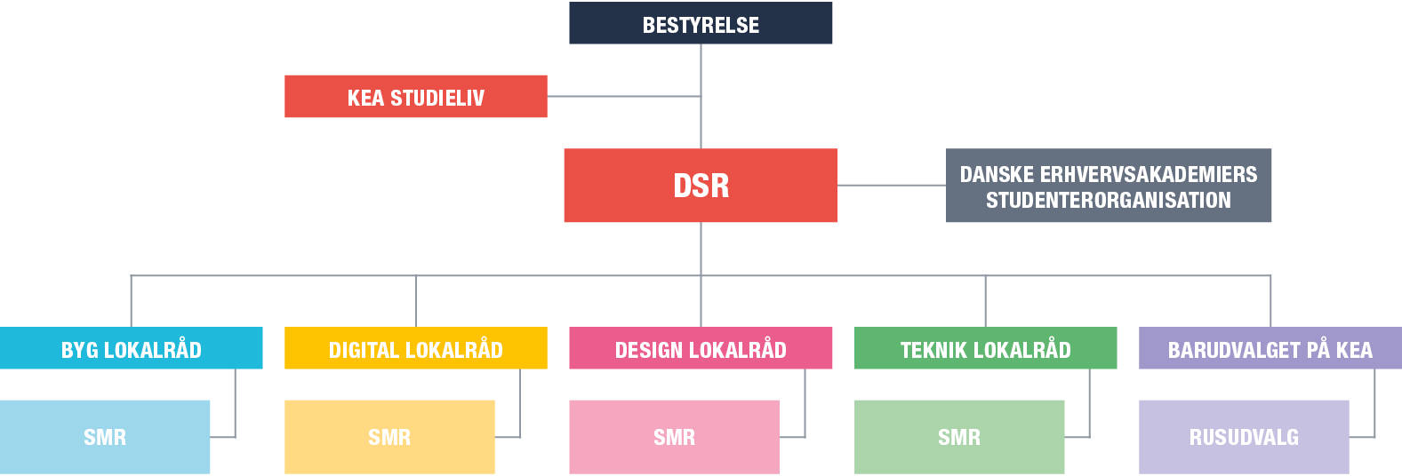 Organisationsdiagram - studieliv - DSR